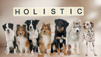 Tiergruppe unter dem Wort Holistic